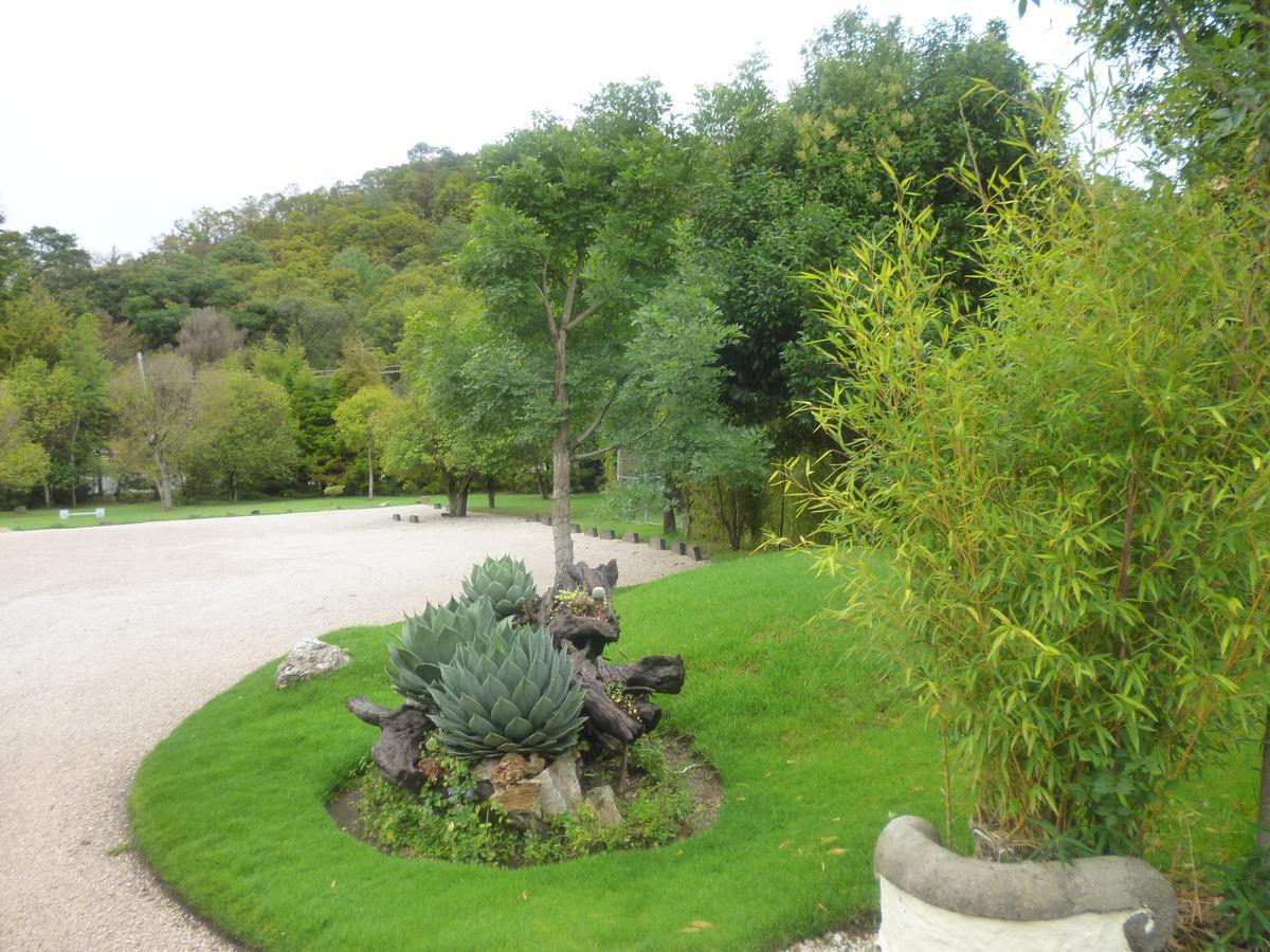 San Cristóbal de Las Casas Hotel Bosques Del Sol Suites מראה חיצוני תמונה